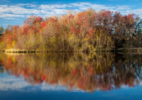 Fall Foliage & Foodie Fun With Peach Valley Gainesville