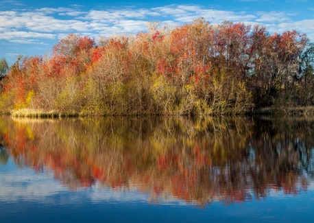 Fall Foliage & Foodie Fun With Peach Valley Gainesville