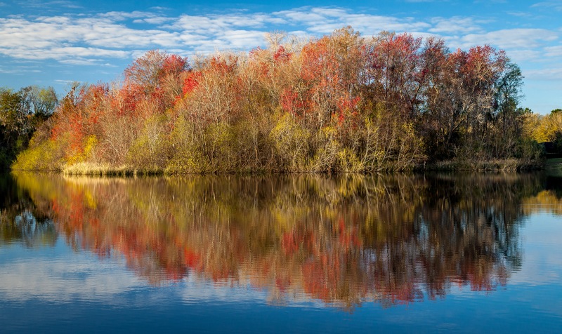 Fall Foliage & Foodie Fun With Peach Valley Gainesville